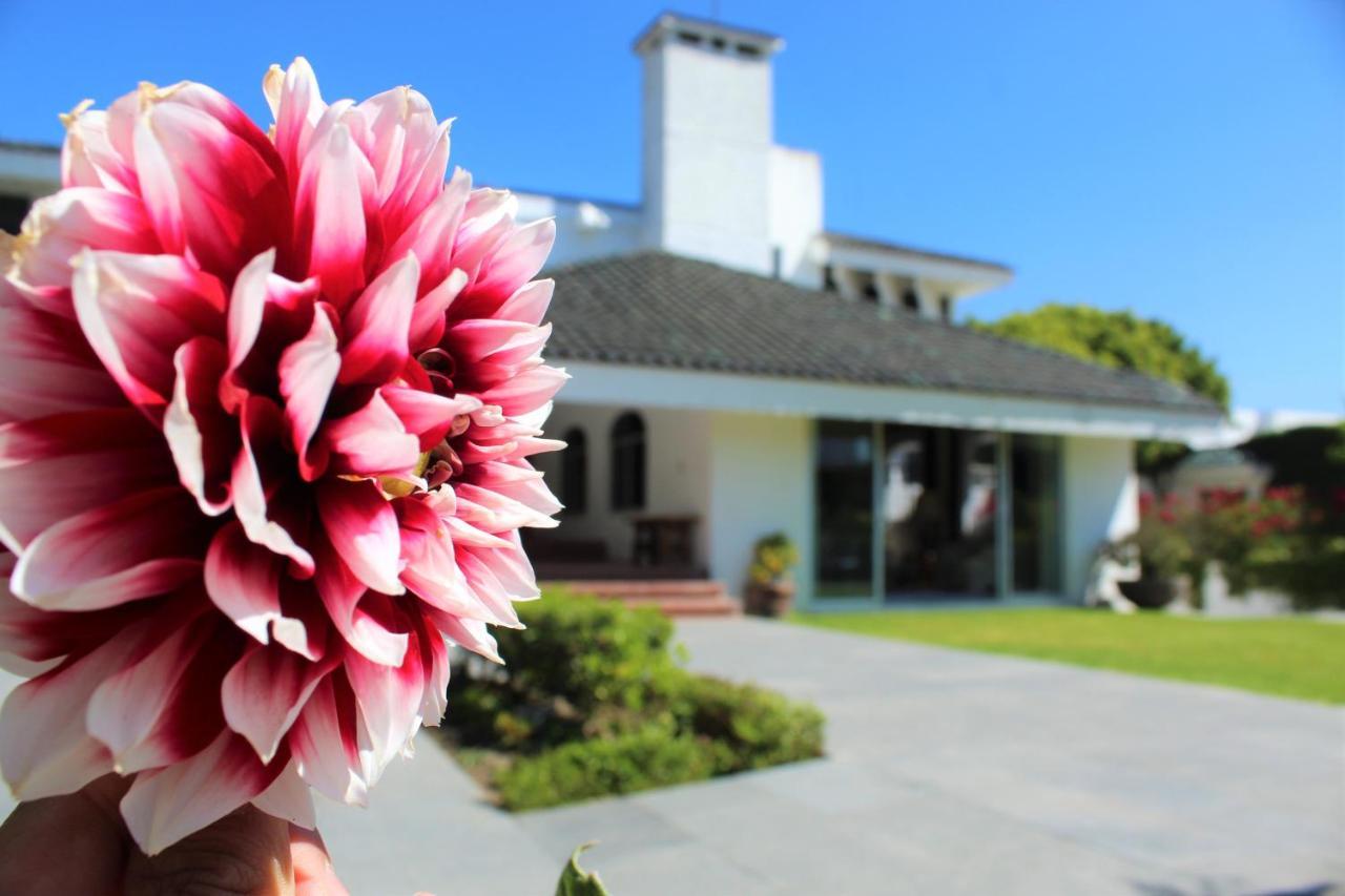 Santo Refugio Heritage Hotel San Pedro Cholula 外观 照片
